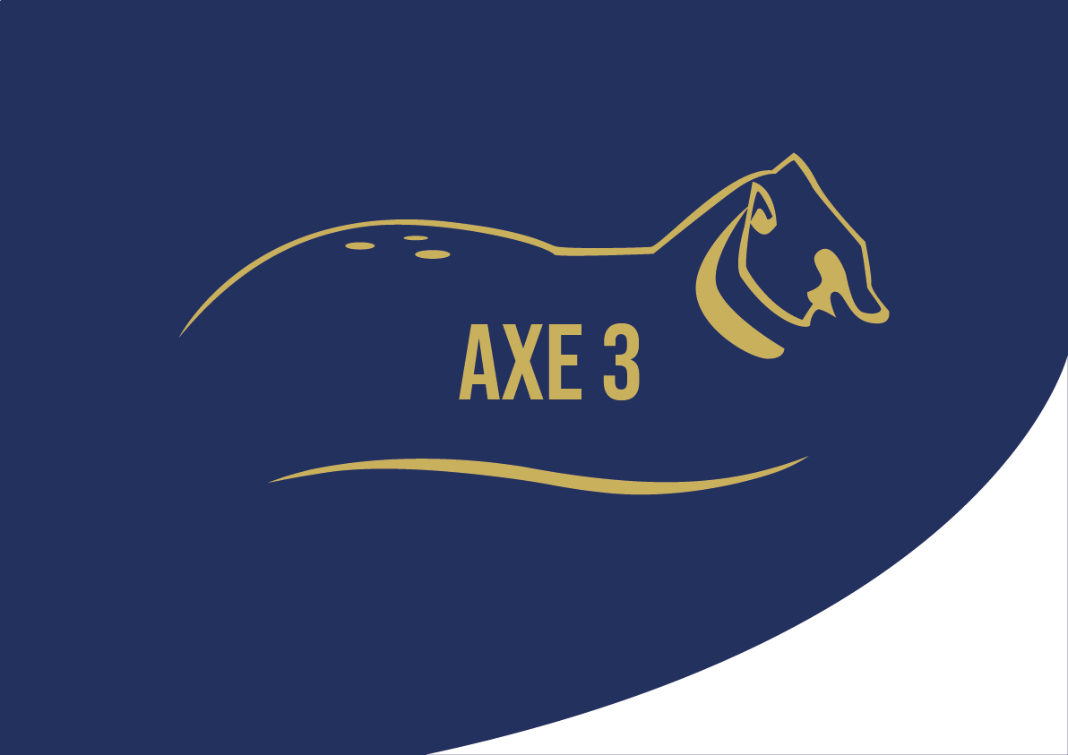 Image d'illustration de l'axe 3 du logo Arome