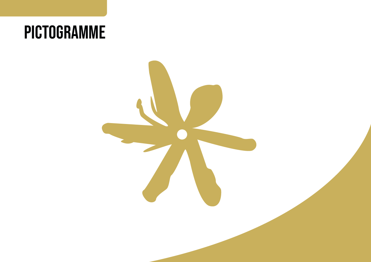 Pictogramme AROME