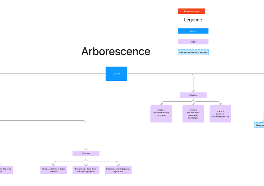 Zoom sur arborescence