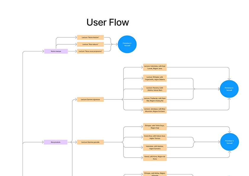 Zoom sur user flow