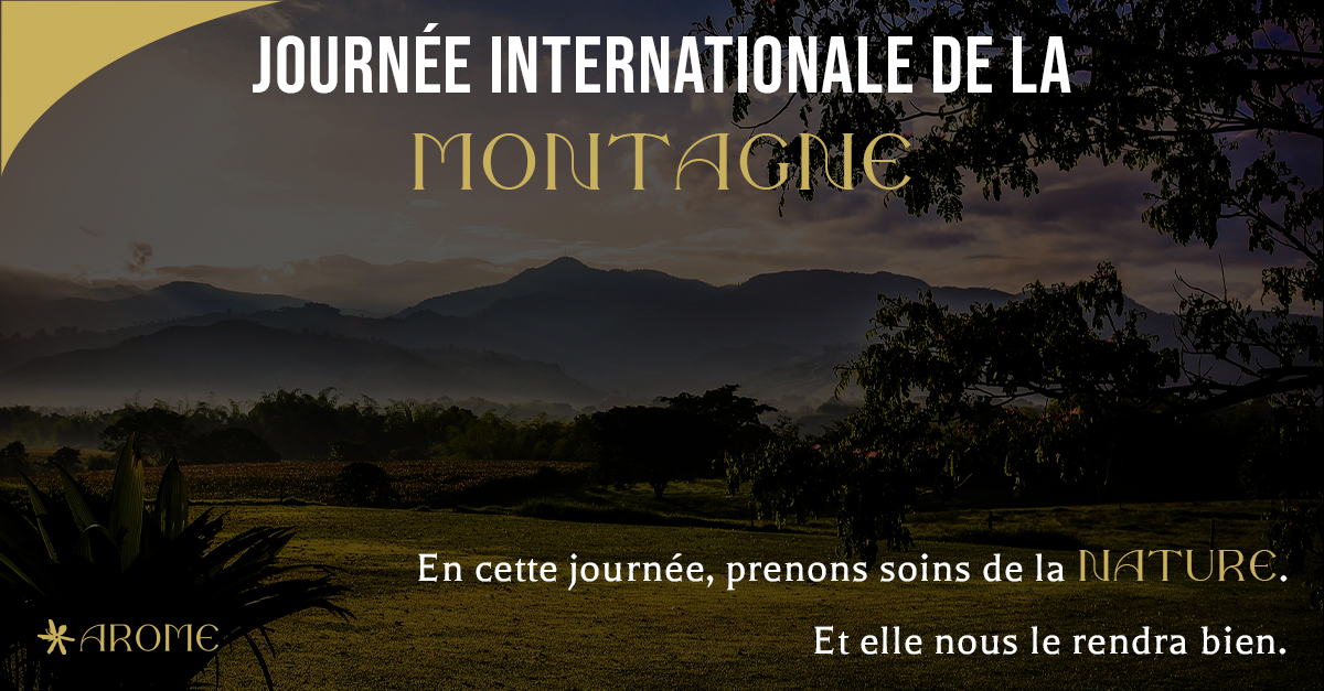 Exemple post Linkedin journée mondiale de la montagne