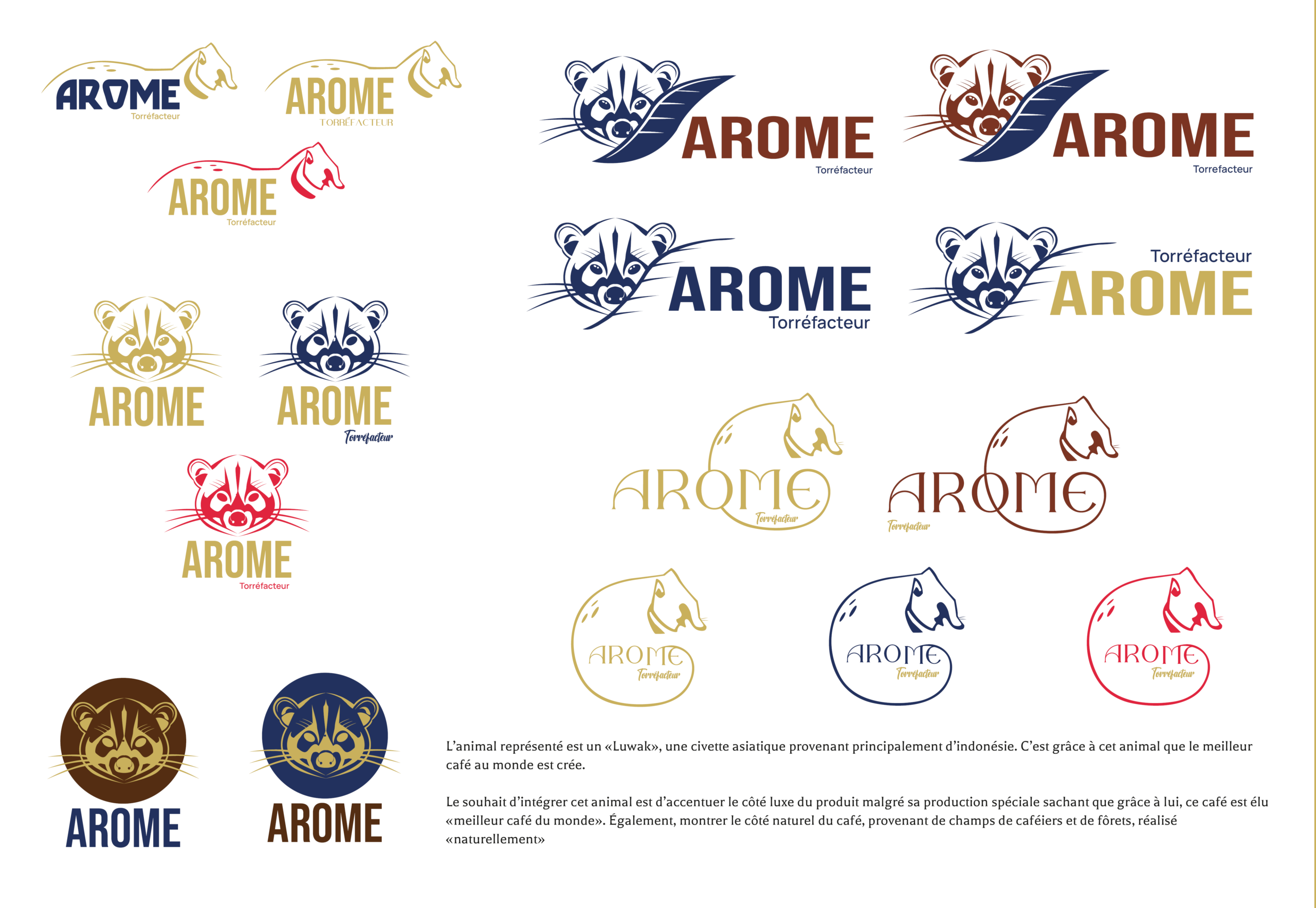 Logos vectorisés - Axe 3